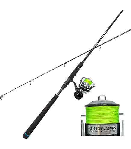 Amazon | シーバスセット DESIDE SP8F＆Bayspin ZX 3000 (seabassset